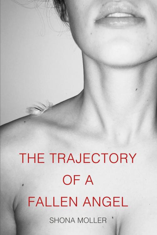 Cover of the book The Trajectory of a Fallen Angel by Shona Moller, Palette Press