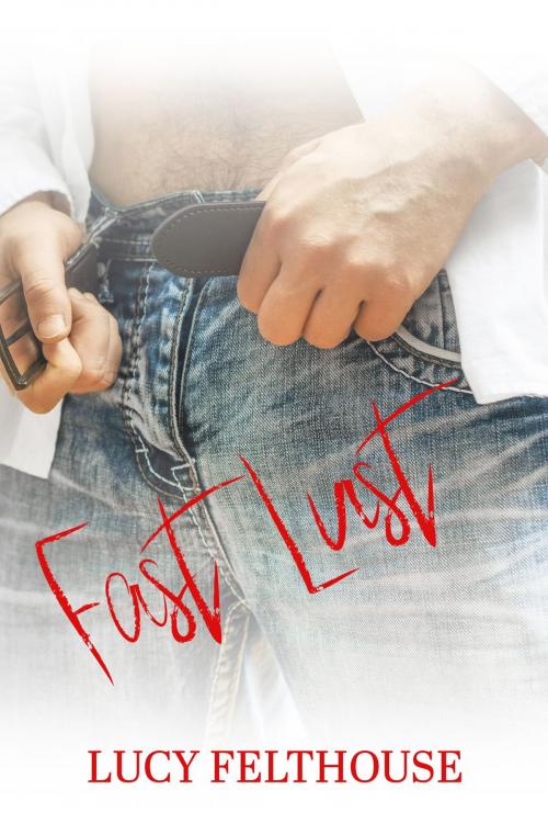 Cover of the book Fast Lust by Lucy Felthouse, Lucy Felthouse