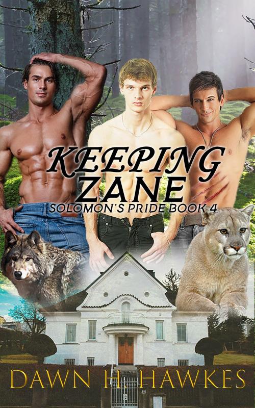 Cover of the book Keeping Zane by Dawn H. Hawkes, Dawn H. Hawkes