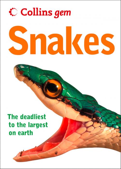 Cover of the book Snakes (Collins Gem) by Chris Mattison, HarperCollins Publishers