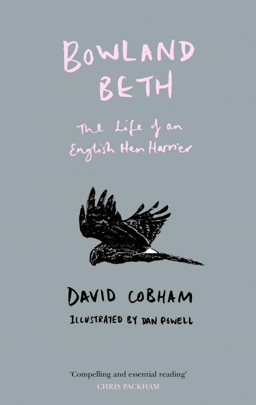 Cover of the book Bowland Beth: The Life of an English Hen Harrier by David Cobham, HarperCollins Publishers