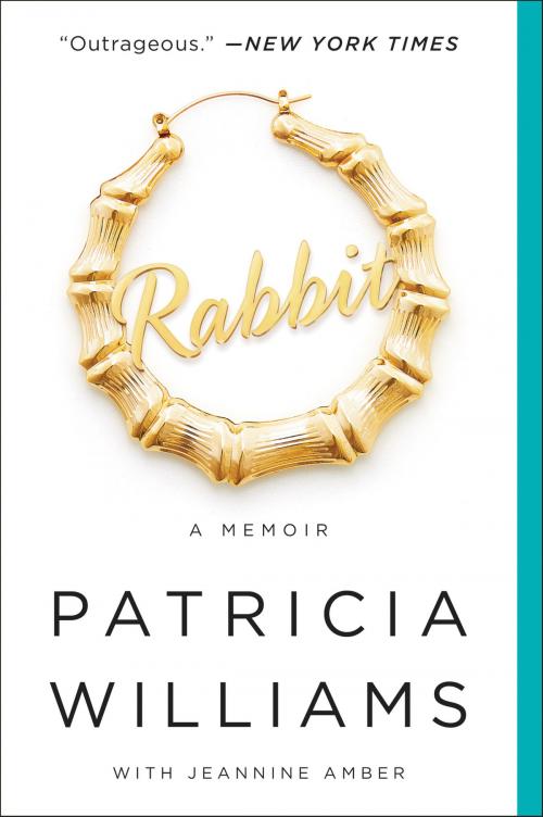 Cover of the book Rabbit by Patricia Williams, Jeannine Amber, Dey Street Books