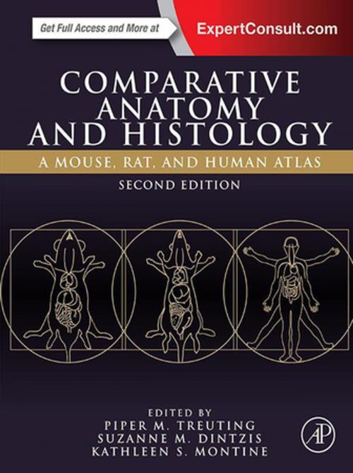Cover of the book Comparative Anatomy and Histology by , Elsevier Science
