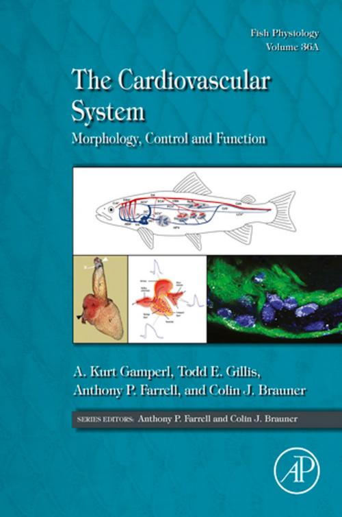 Cover of the book The Cardiovascular System by , Elsevier Science