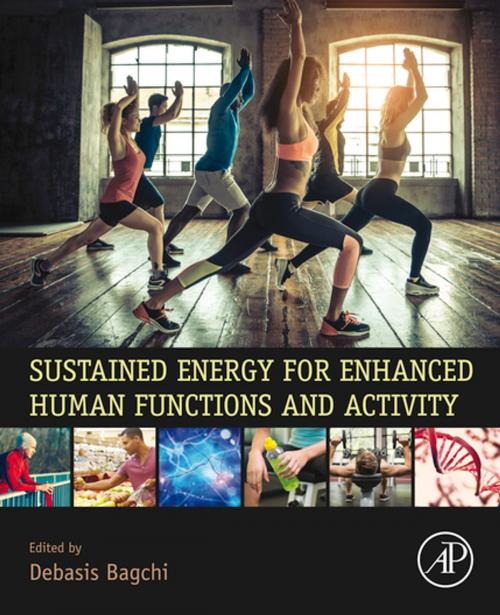 Cover of the book Sustained Energy for Enhanced Human Functions and Activity by , Elsevier Science
