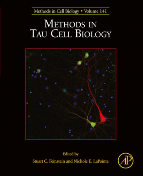 Cover of the book Methods in Tau Cell Biology by Stuart Feinstein, Nichole Lapointe, Elsevier Science