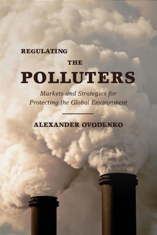 Cover of the book Regulating the Polluters by Alexander Ovodenko, Oxford University Press