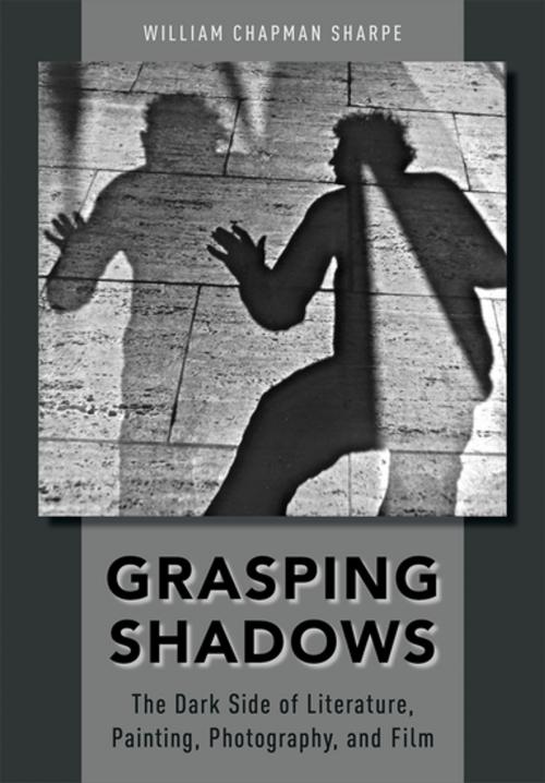 Cover of the book Grasping Shadows by William Chapman Sharpe, Oxford University Press