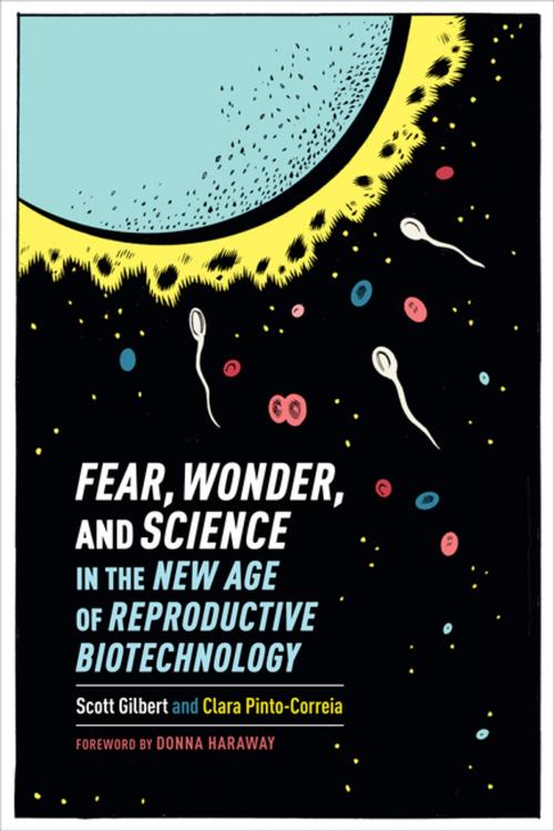 Cover of the book Fear, Wonder, and Science in the New Age of Reproductive Biotechnology by Scott Gilbert, Clara Pinto-Correia, Columbia University Press