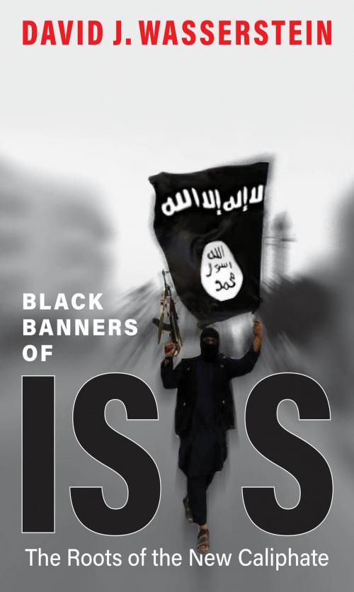Cover of the book Black Banners of ISIS by David J. Wasserstein, Yale University Press
