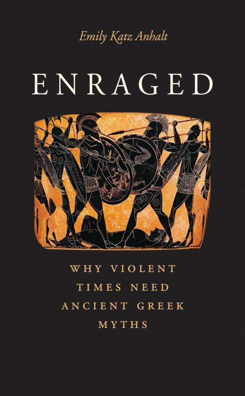 Cover of the book Enraged by Emily Katz Anhalt, Yale University Press