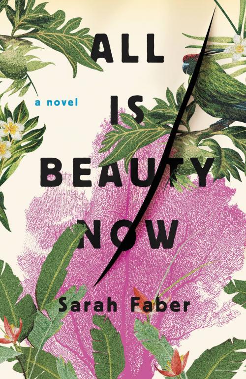 Cover of the book All Is Beauty Now by Sarah Faber, Little, Brown and Company