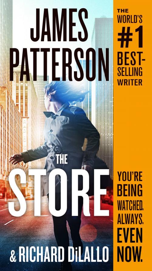 Cover of the book The Store by James Patterson, Little, Brown and Company