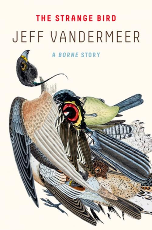 Cover of the book The Strange Bird by Jeff VanderMeer, Farrar, Straus and Giroux