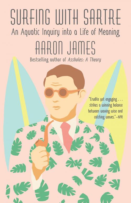 Cover of the book Surfing with Sartre by Aaron James, Knopf Doubleday Publishing Group