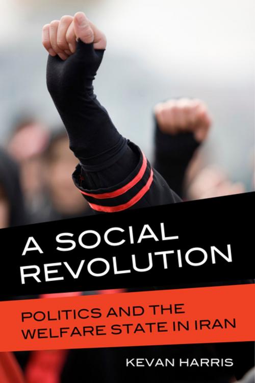 Cover of the book A Social Revolution by Kevan Harris, University of California Press