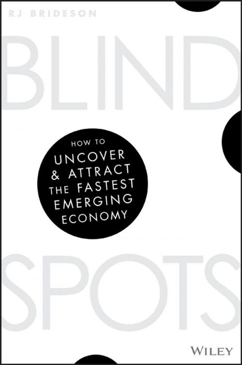 Cover of the book Blind Spots by RJ Brideson, Wiley