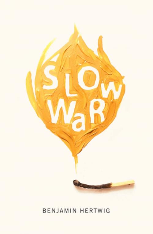 Cover of the book Slow War by Benjamin Hertwig, MQUP