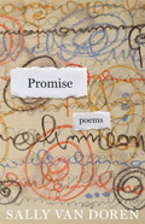 Cover of the book Promise by Sally Van Doren, LSU Press