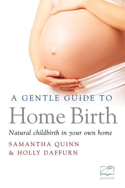 Cover of the book Gentle Guide to Home Birth by Holly Daffurn, Samantha Quinn, UIT Cambridge Ltd.