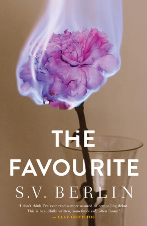 Cover of the book The Favourite by S. V. Berlin, Myriad Editions