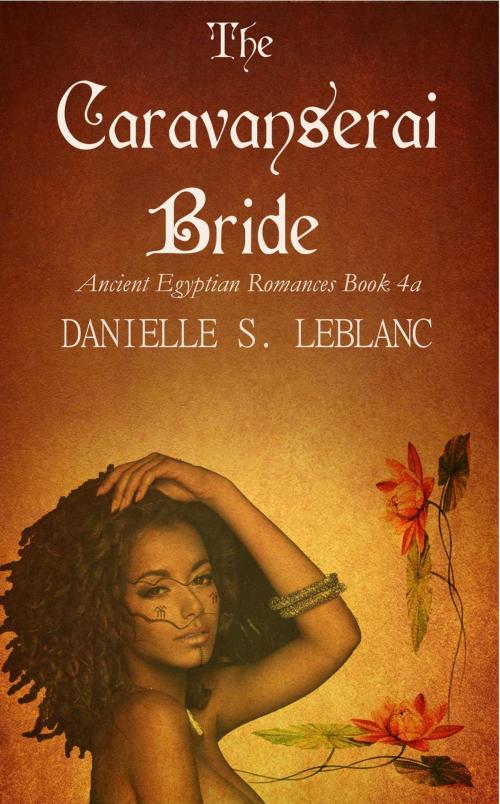 Cover of the book The Caravanserai Bride by Danielle S. LeBlanc, La Venta West, Inc
