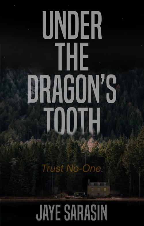 Cover of the book Under the Dragon’s Tooth by Jaye Sarasin, Troubador Publishing Ltd