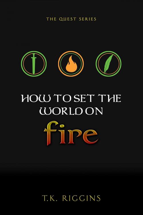 Cover of the book How To Set The World On Fire by T.K. Riggins, Franchise Publishing