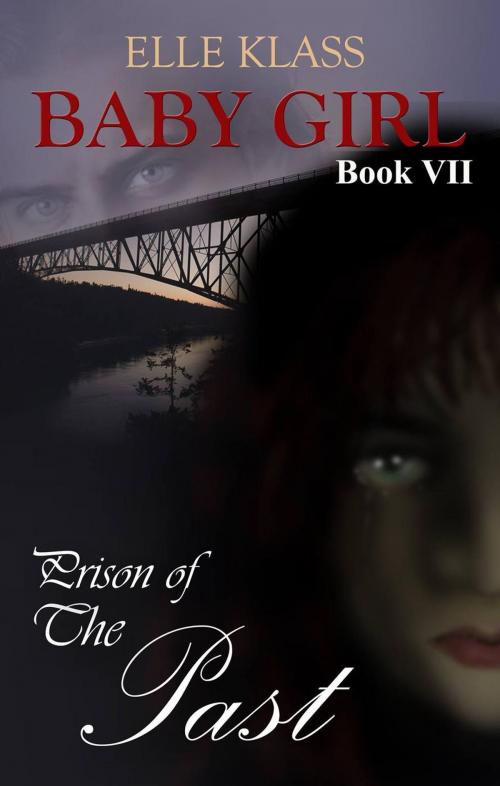 Cover of the book Prison of the Past by Elle Klass, Books by Elle, Inc.