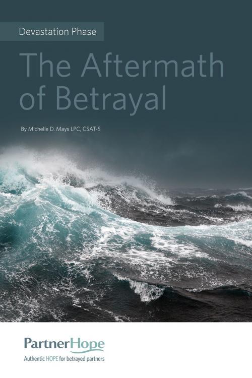 Cover of the book The Aftermath of Betrayal by Michelle Mays, Relational Recovery Press