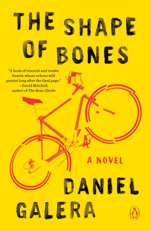 Cover of the book The Shape of Bones by Daniel Galera, Penguin Publishing Group