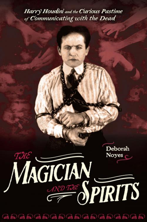Cover of the book The Magician and the Spirits by Deborah Noyes, Penguin Young Readers Group