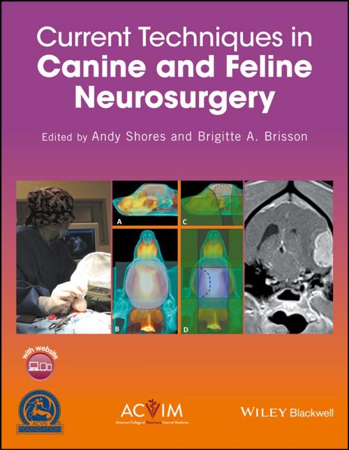 Cover of the book Current Techniques in Canine and Feline Neurosurgery by , Wiley