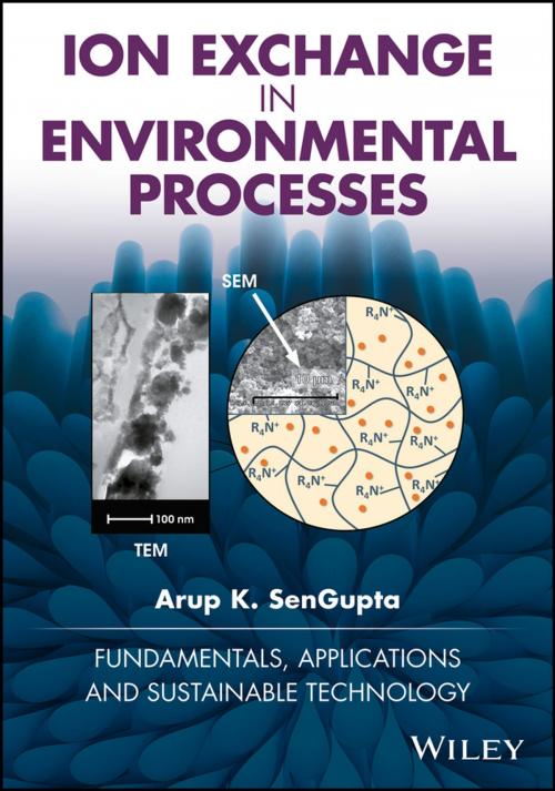 Cover of the book Ion Exchange in Environmental Processes by Arup K. SenGupta, Wiley