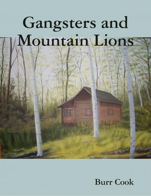 Cover of the book Gangsters and Mountain Lions by Burr Cook, Lulu.com