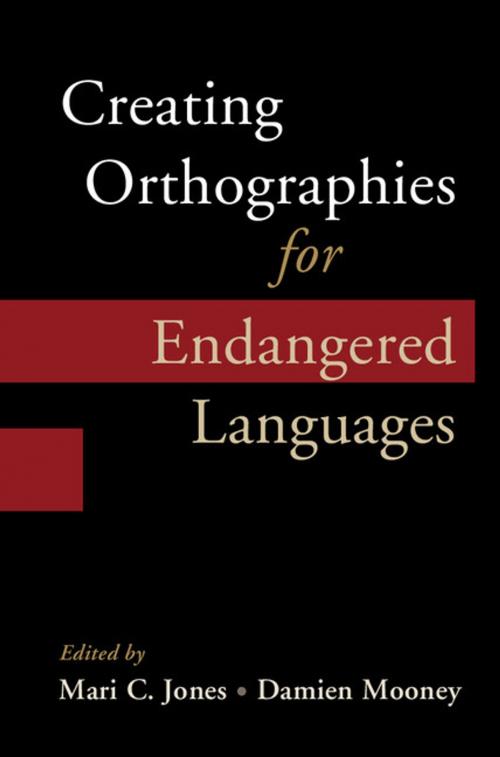 Cover of the book Creating Orthographies for Endangered Languages by , Cambridge University Press