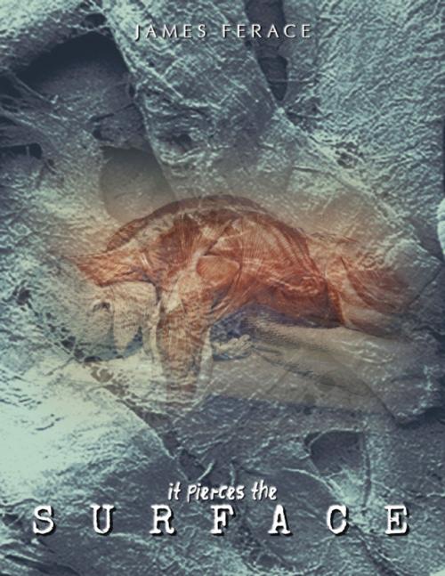 Cover of the book It Pierces the Surface by James Ferace, Lulu.com
