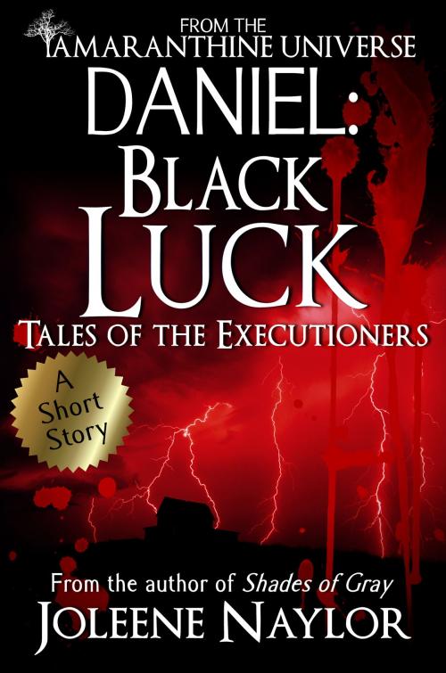 Cover of the book Daniel: Black Luck (Tales of the Executioners) by Joleene Naylor, Joleene Naylor