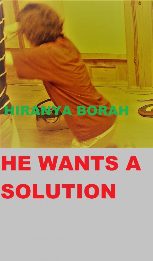 Cover of the book He Wants a Solution by Hiranya Borah, Hiranya Borah