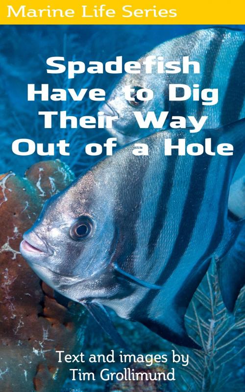 Cover of the book Spadefish Have to Dig Their Way Out of a Hole by Tim Grollimund, Tim Grollimund