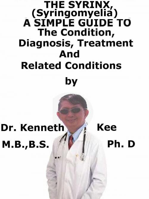 Cover of the book The Syrinx, (Syringomyelia) A Simple Guide To The Condition, Diagnosis, Treatment And Related Conditions by Kenneth Kee, Kenneth Kee