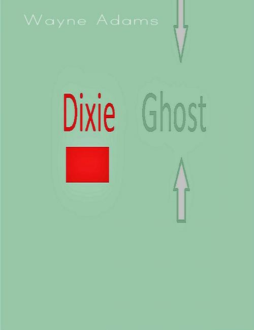 Cover of the book Dixie Ghost by Wayne Adams, Wayne Adams