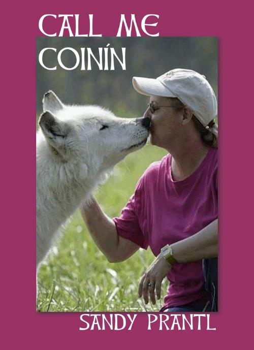 Cover of the book Call Me Coinin by Sandy Prantl, Sandy Prantl