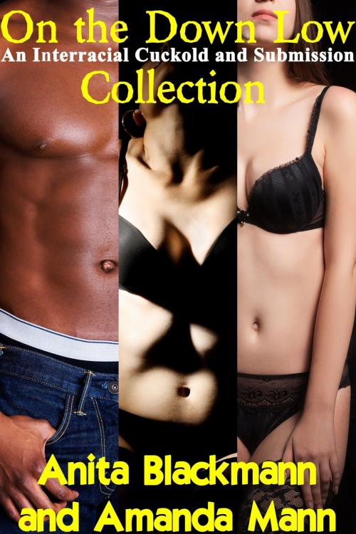 Cover of the book On the Down Low: An Interracial Cuckold and Submission Collection by Anita Blackmann, Amanda Mann, Deadlier Than the Male Publications