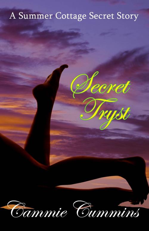 Cover of the book Secret Tryst by Cammie Cummins, Cammie Cummins