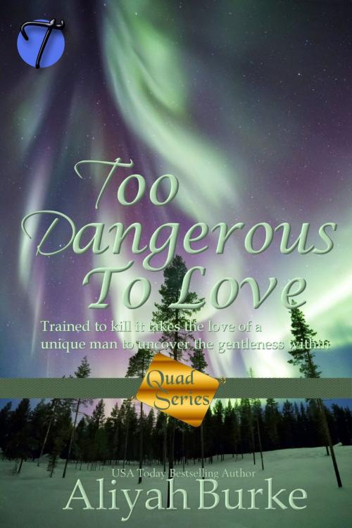 Cover of the book Too Dangerous to Love by Aliyah Burke, Twisted E-Publishing