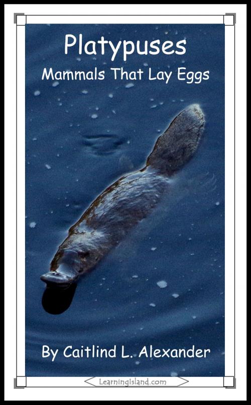 Cover of the book Platypuses: Mammals That Lay Eggs by Caitlind L. Alexander, LearningIsland.com