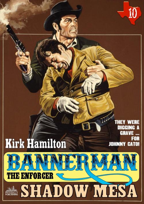 Cover of the book Bannerman the Enforcer 10: Shadow Mesa by Kirk Hamilton, Piccadilly Publishing