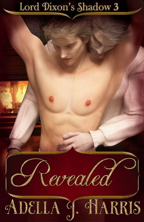 Cover of the book Revealed by Adella J Harris, Adella J Harris