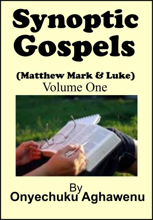 Cover of the book Synoptic Gospels (Matthew Mark & Luke) Volume One by Onyechuku Aghawenu Ph.D, Mongraphics Ltd